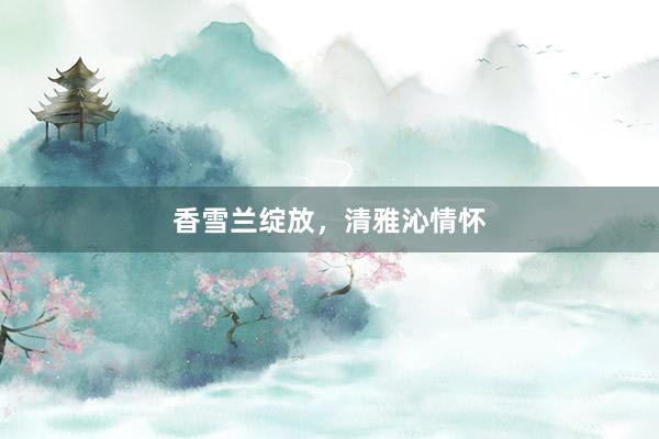 香雪兰绽放，清雅沁情怀